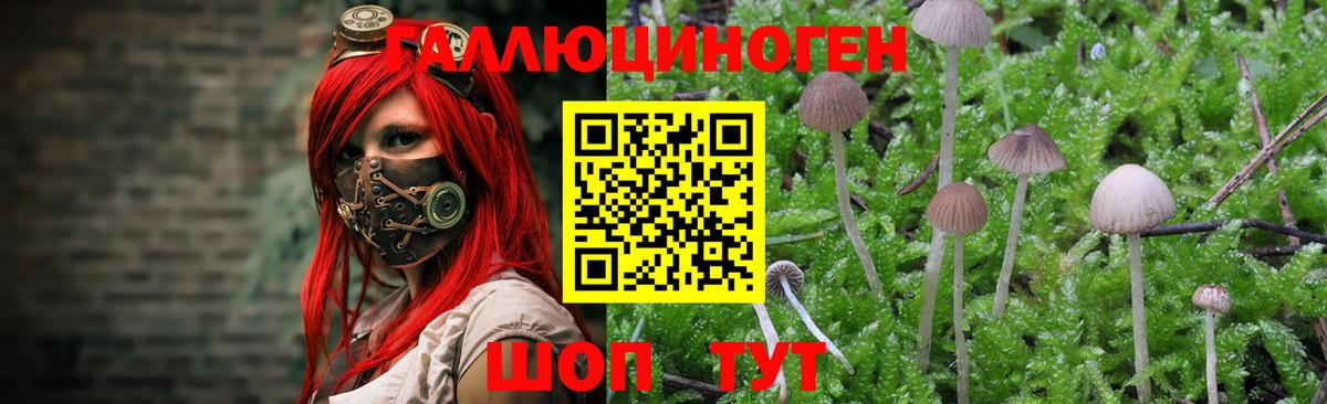 Галлюциногенные грибы прущие грибы  Псилоцибиновые грибы GOLDEN TEACHER  Вход с VPN  Люберцы 