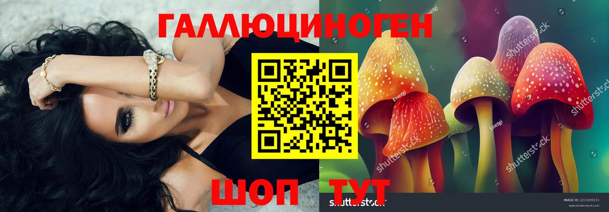 Псилоцибиновые грибы Magic Shrooms Люберцы